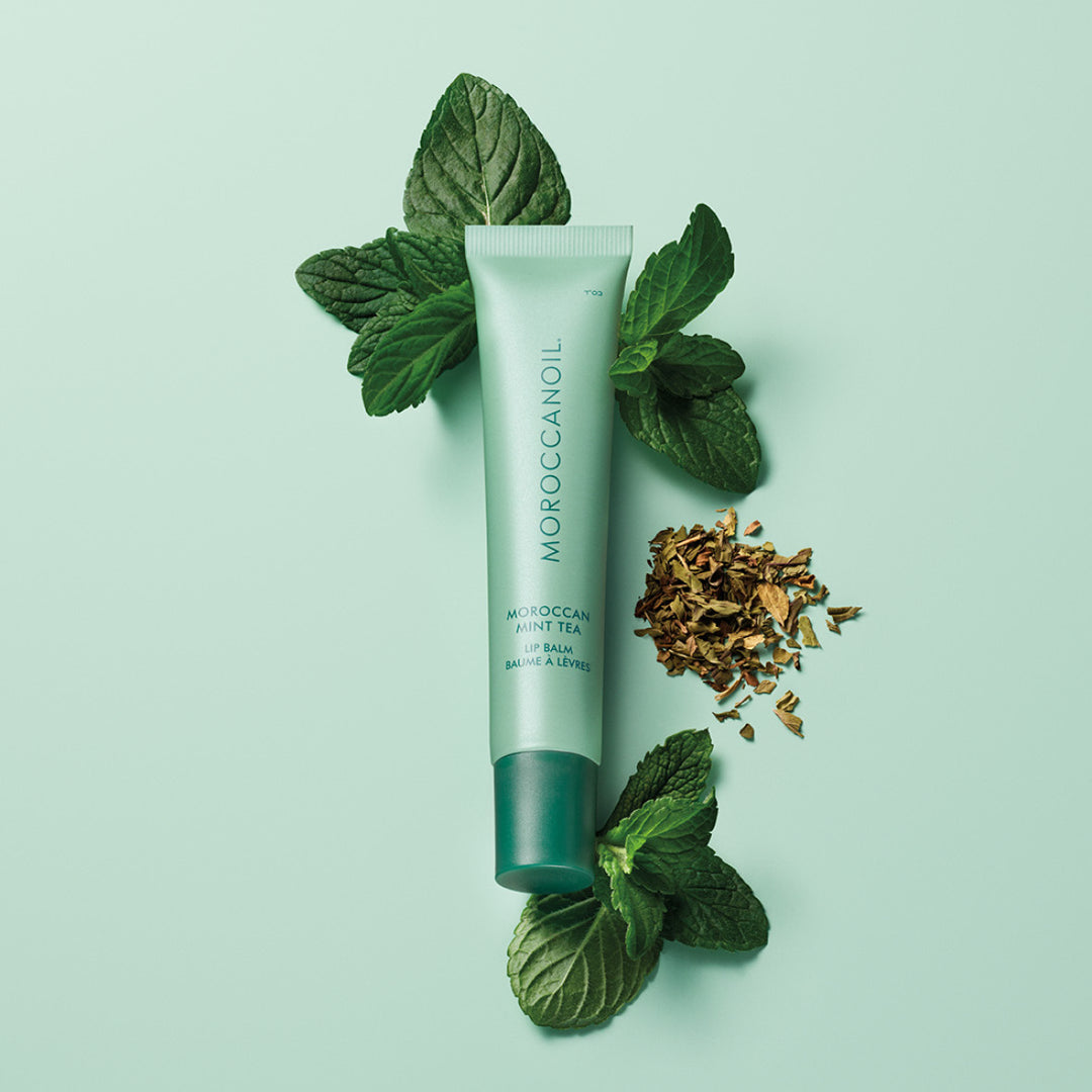 MOROCCANOIL Lip Balm - Moroccan Mint Tea 15g